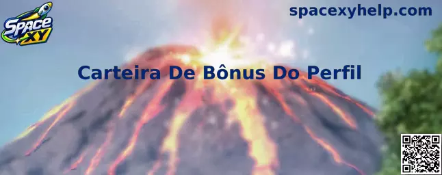 Carteira De Bônus Do Perfil Space XY